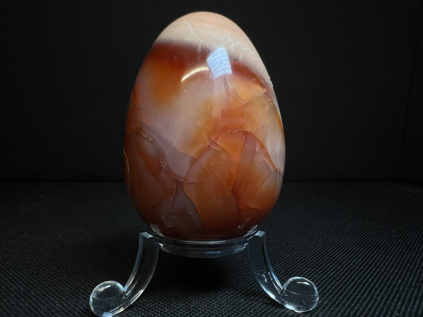 Polished Carnelian Egg From Madagascar- Home Décor, Statement Piece, Crystal Healing (Stand Included)