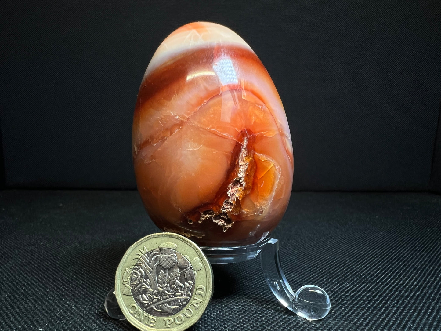 Polished Carnelian Egg From Madagascar- Home Décor, Statement Piece, Crystal Healing (Stand Included)