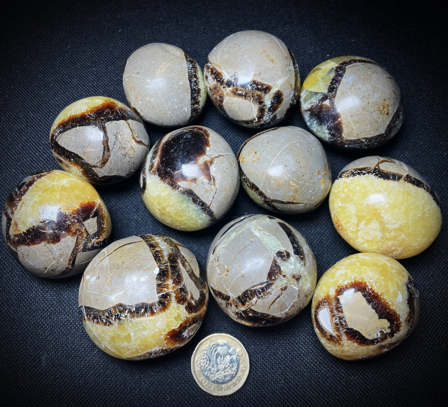 Gorgeous Septarian Palm Stones Bag Home Décor Crystal Healing