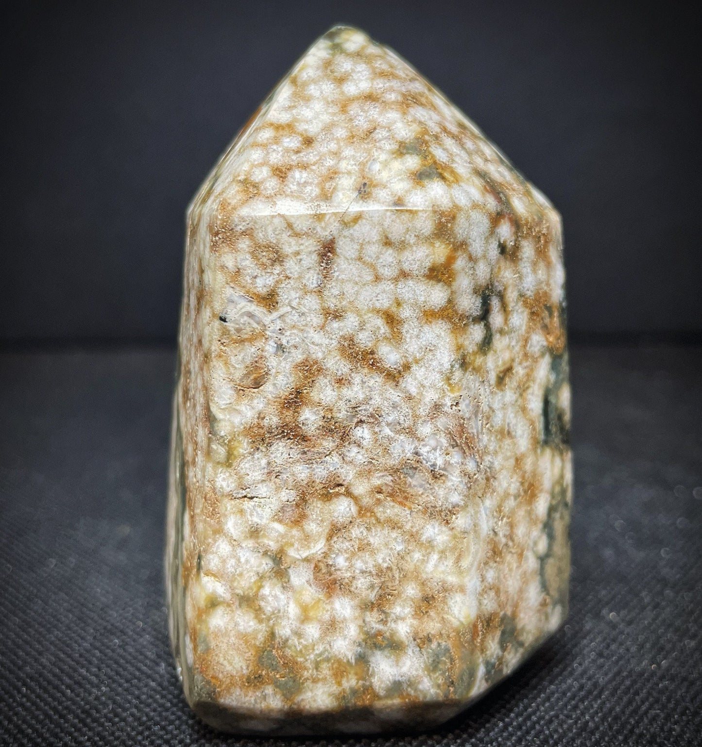 Outstanding Dendritic Agate Point- Home Décor Statement Piece