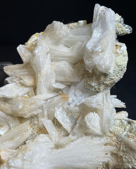 Selenite, Gypsum Crystals Hydrated Calcium Sulphate On Matrix From Charcas Mexico