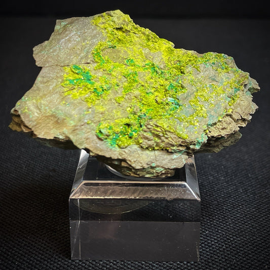 Volborthite From Grant County, N.M- Collectors Piece