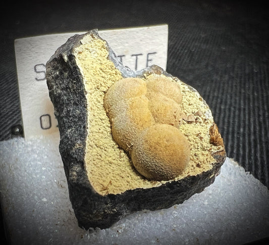 Siderite From Oregon (Box Included) Collectors Piece, Home Décor