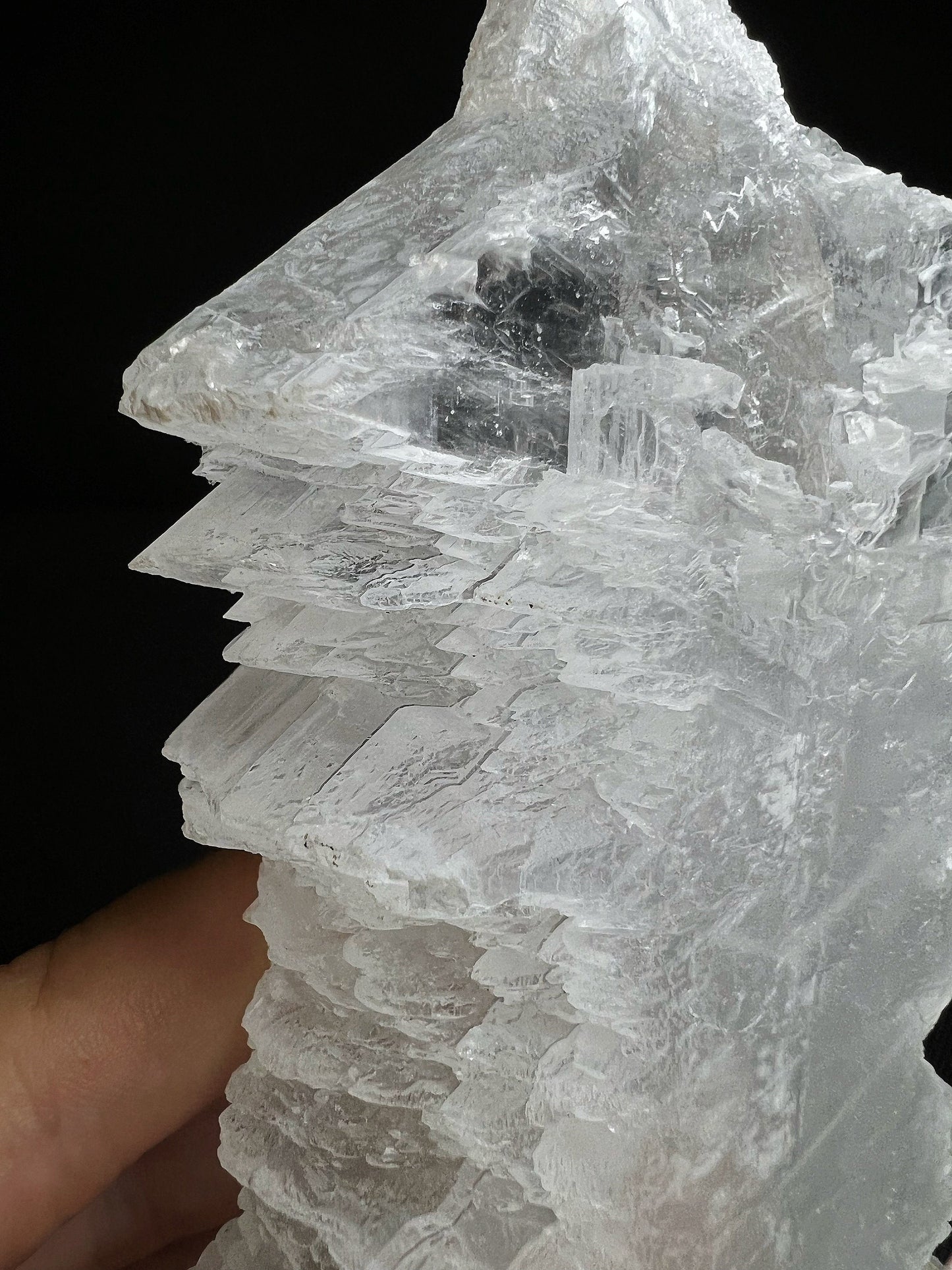 Fishtail Selenite From Naica Mine, Chihuahua, Mexico- Collectors Piece, Home Décor, Gift, Crystal Healing