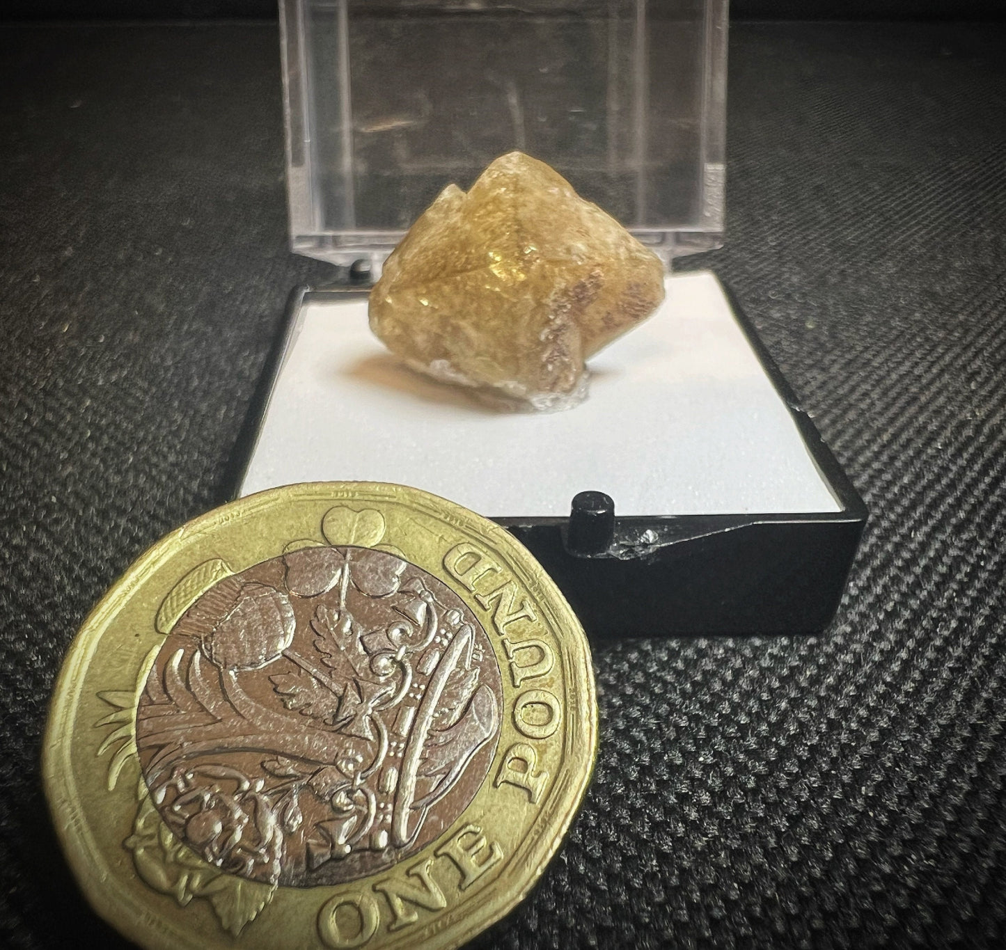 Mellite From Csordakúti Mine, Fejér, Hungary (Box Included) Collectors Piece