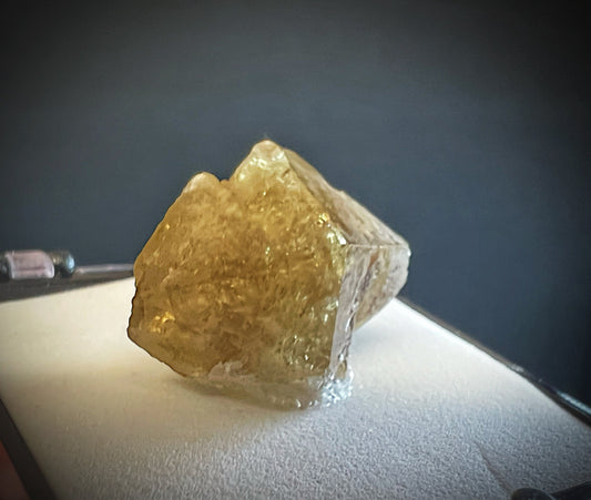 Mellite From Csordakúti Mine, Fejér, Hungary (Box Included) Collectors Piece