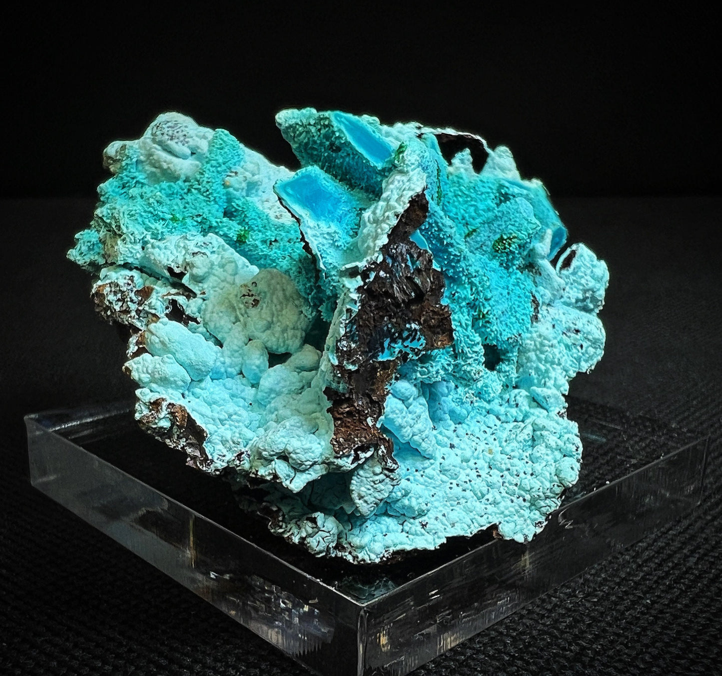 Chrysocolla Pseudomorph From Tenke Fungurume, Kolweze, Dr Congo- Collectors Piece, Statement Piece, Home Décor, Gift (Stand Included)
