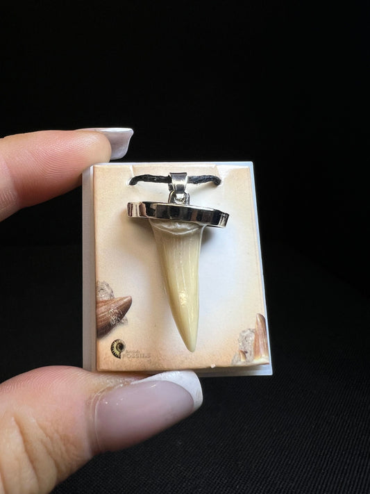 Shark Tooth Necklace- Sold Individually, Fossils