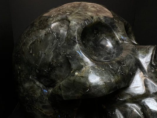A large Polished Perfectly Carved Skull in Labradorite Stone- Statement Piece, Home Décor